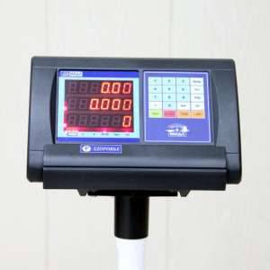 Весы МП "Здоровье" 300 ВДА-(50/100; Р) (800х800) 15 Bt К-Ст