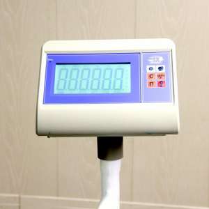 Весы МП "Здоровье" 300 ВЖА-(50/100; Р) (800х800) бр 07 Bt К