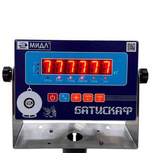 Весы МП 2000 ВЕДА Ф-1 (500/1000; 2000х1200) "Циклоп" 12СФ
